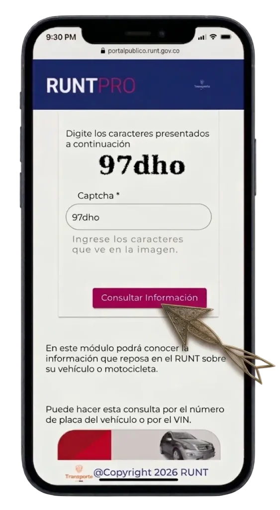 Consultar Información