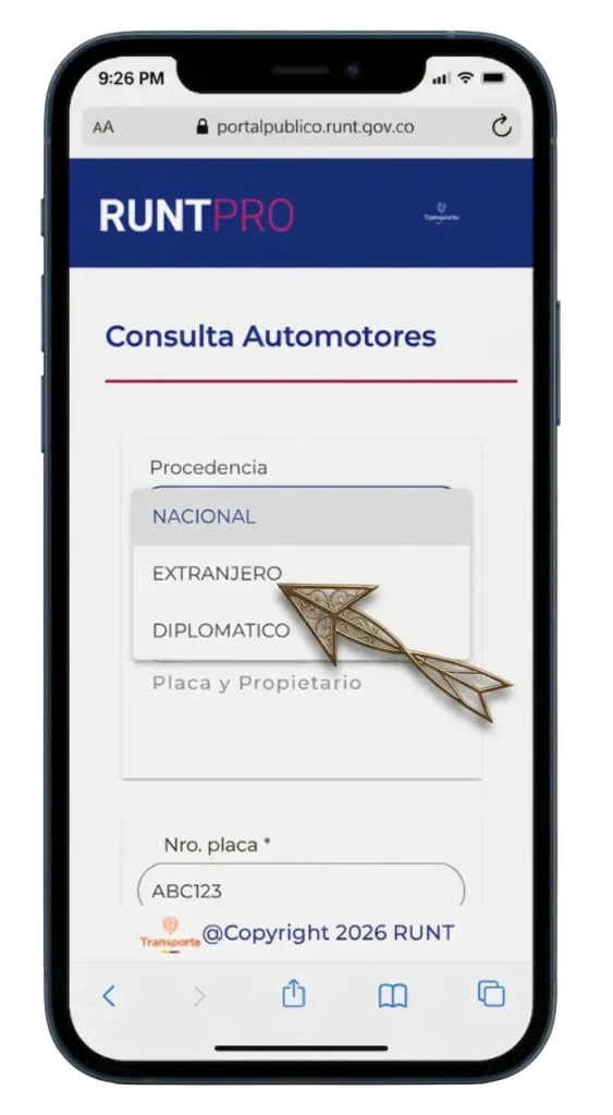 Consultar Por