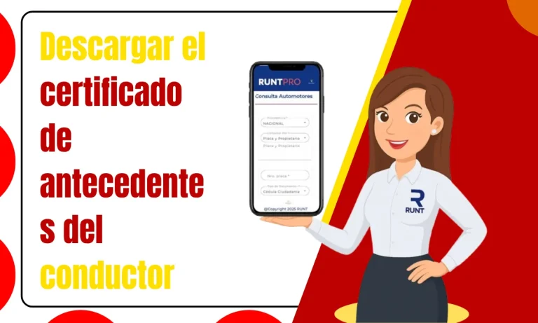 Descargar el certificado de antecedentes del conductor
