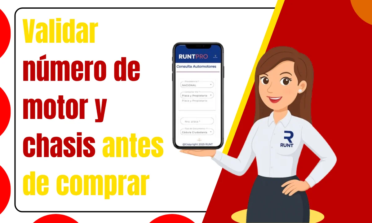 Validar número de motor y chasis antes de comprar.