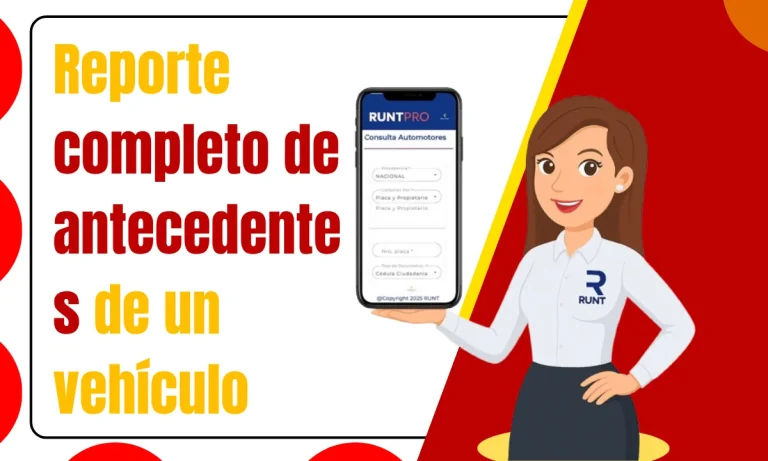 reporte completo de antecedentes de un vehículo