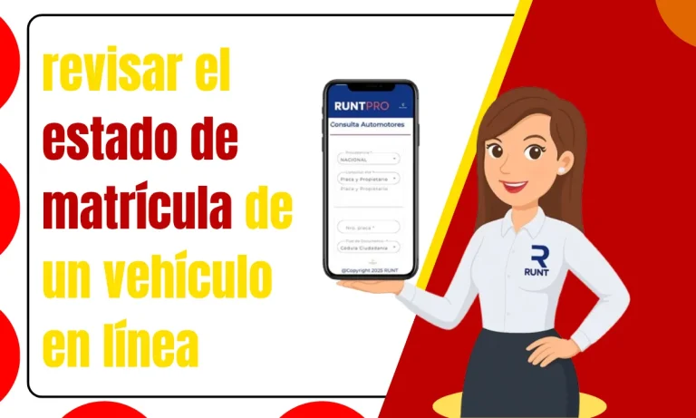 revisar el estado de matrícula de un vehículo en línea