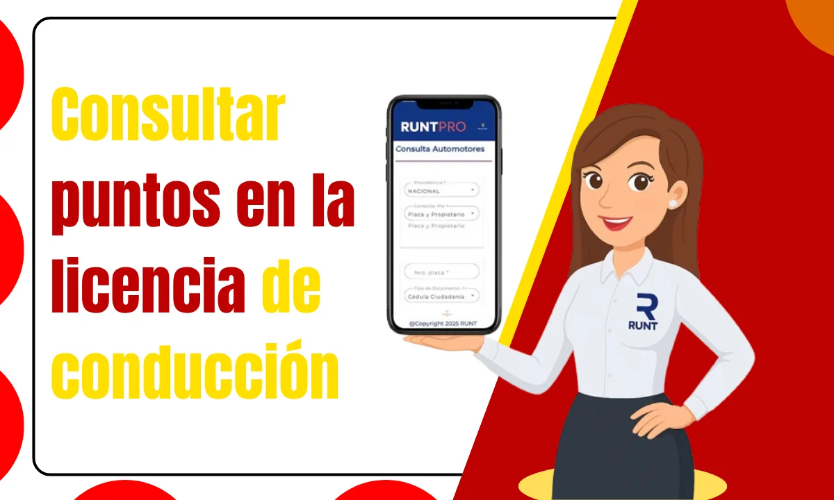 Consultar puntos en la licencia de conducción
