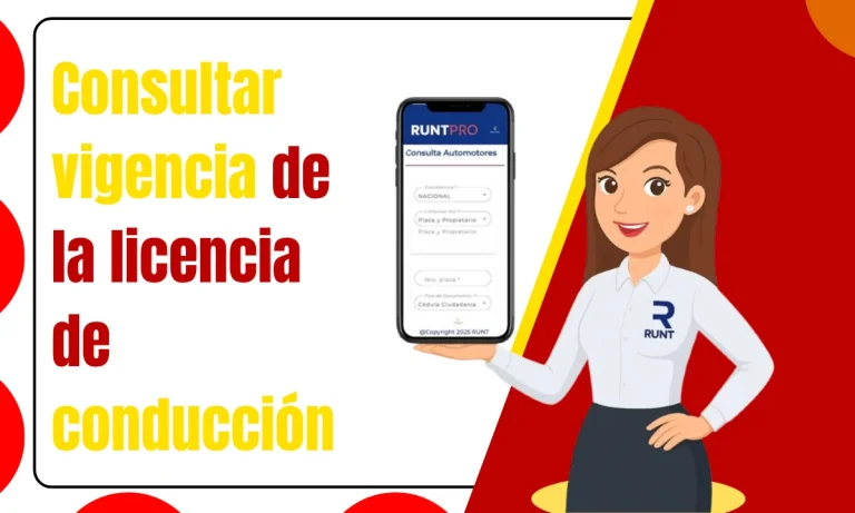 Consultar vigencia de la licencia de conducción